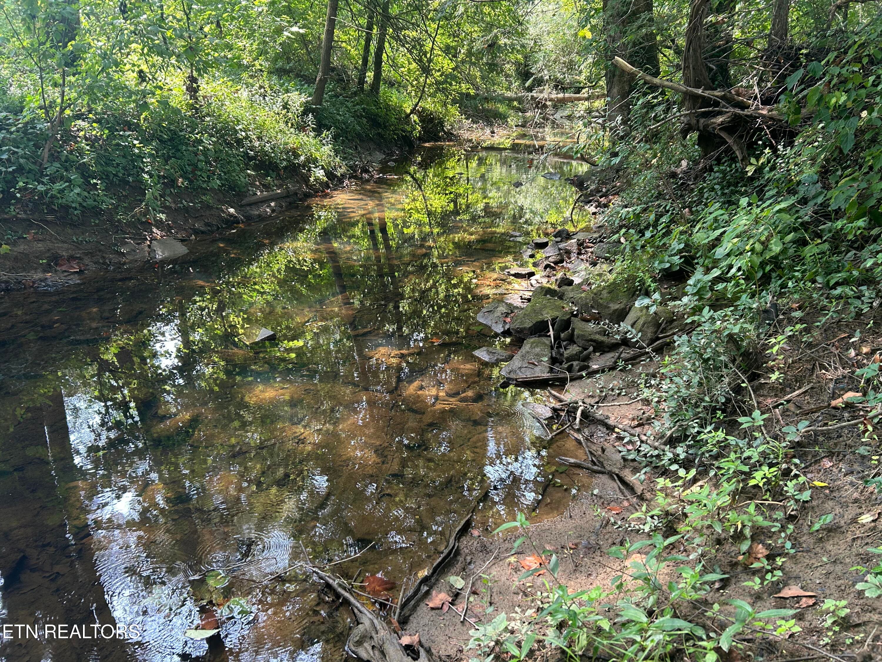 IMG_4295 2 - 254 Hemlock Springs Drive, Helenwood, TN 37755