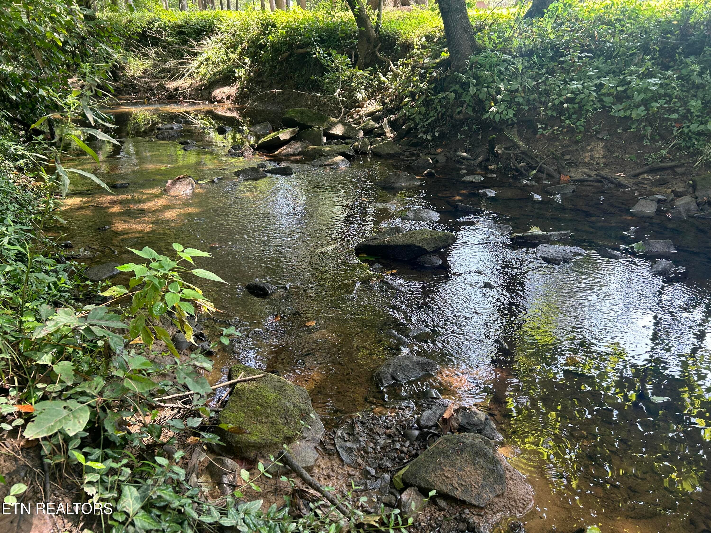 IMG_4297 - 254 Hemlock Springs Drive, Helenwood, TN 37755