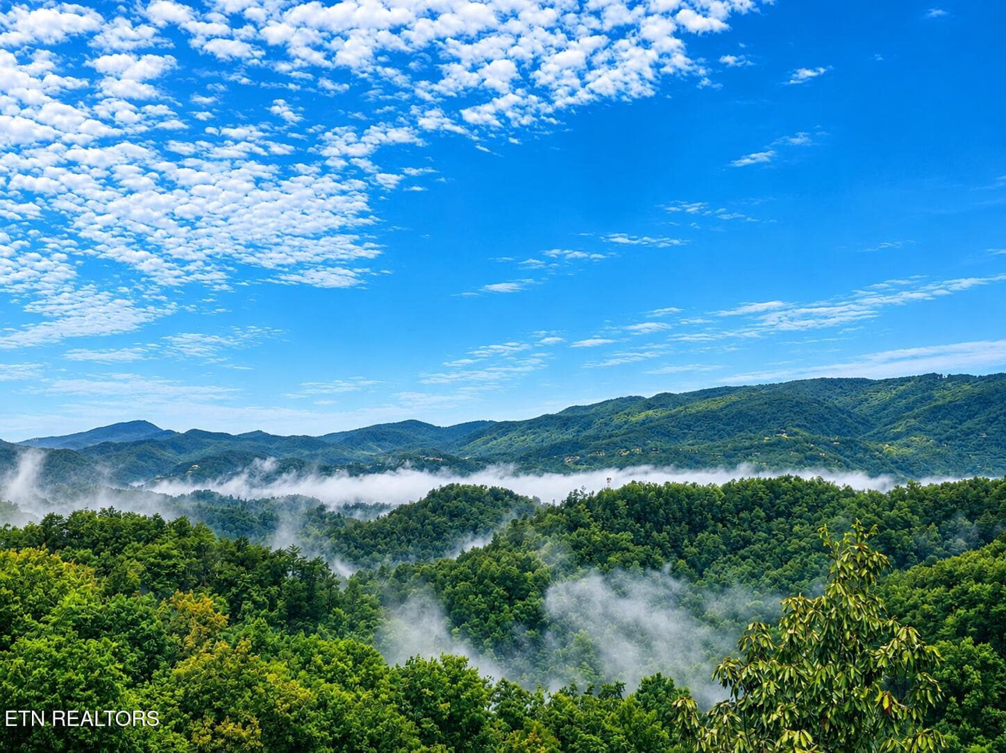 914 Black Bear Cub Way - 914 Black Bear Cub Way, Sevierville, TN 37862