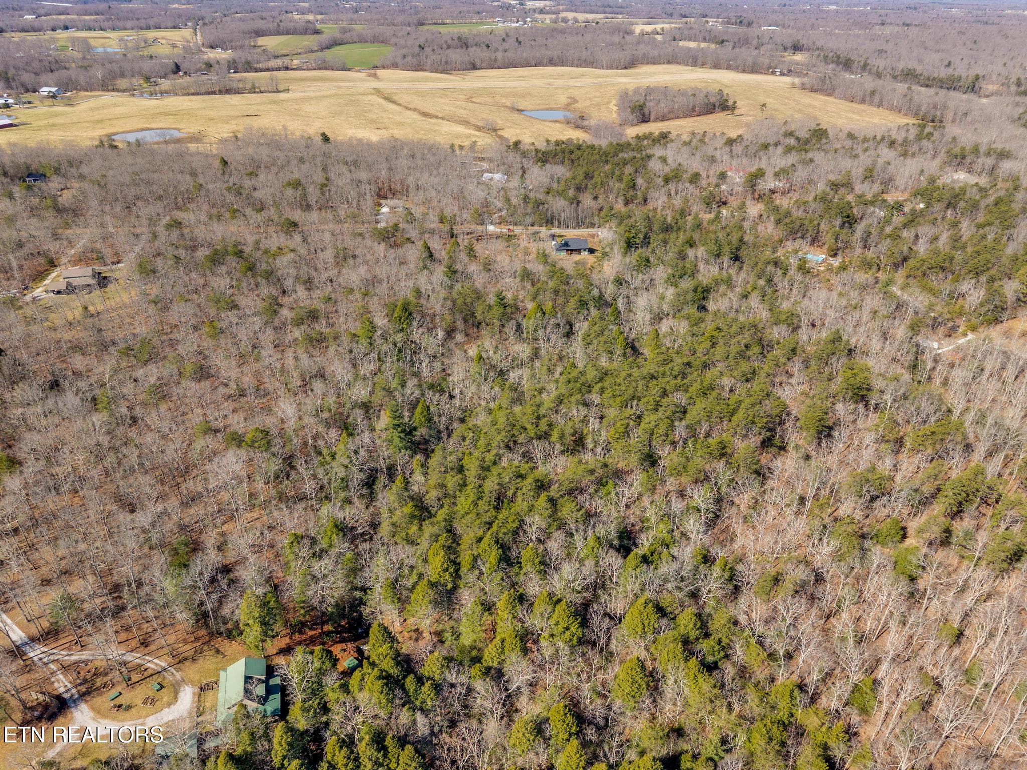 911 Spearhead-6 - 911 Spearhead Circle, Clarkrange, TN 38553