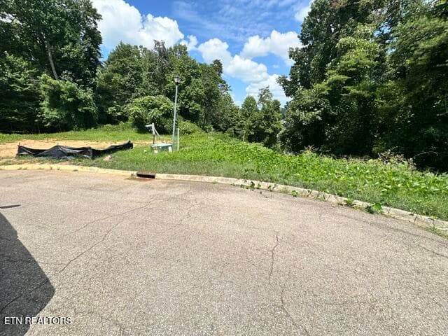 IMG_0630 - 481 Laurel Ridge Lane, Knoxville, TN 37922