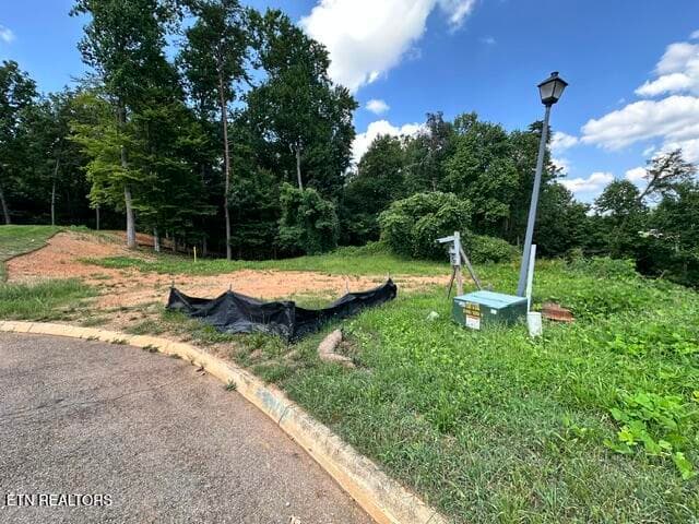 IMG_0636 - 481 Laurel Ridge Lane, Knoxville, TN 37922