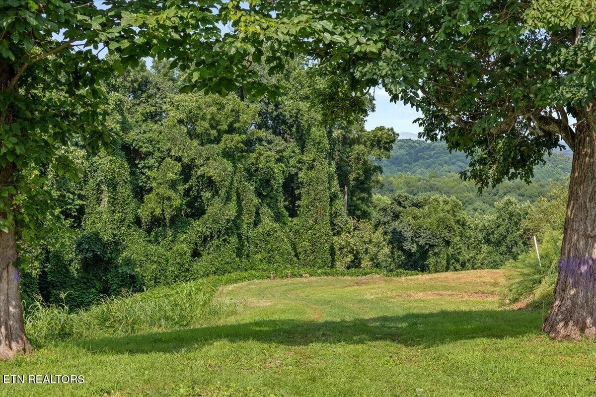 24 - 2380 Old Highway 68, Sweetwater, TN 37874