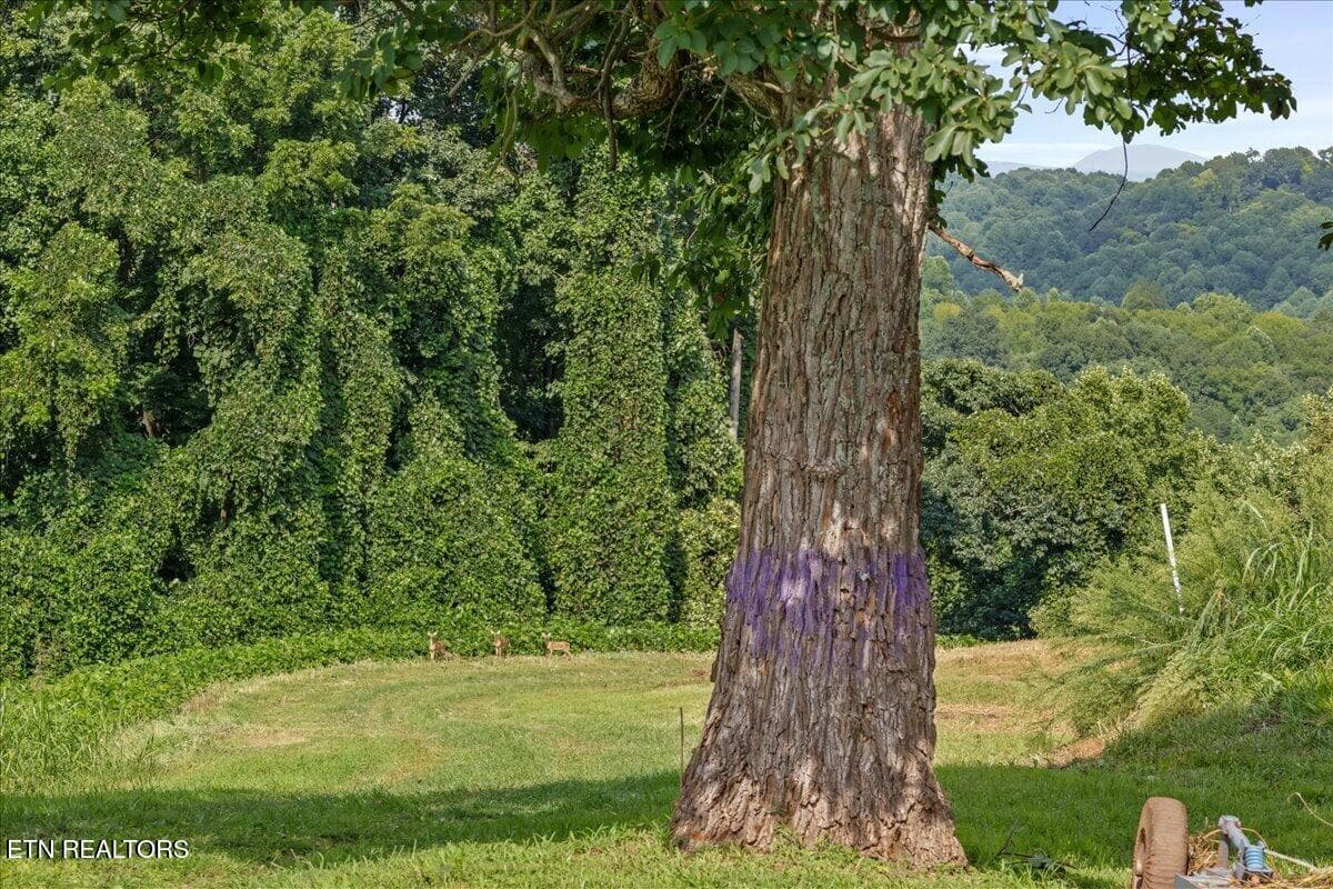 28 - 2380 Old Highway 68, Sweetwater, TN 37874
