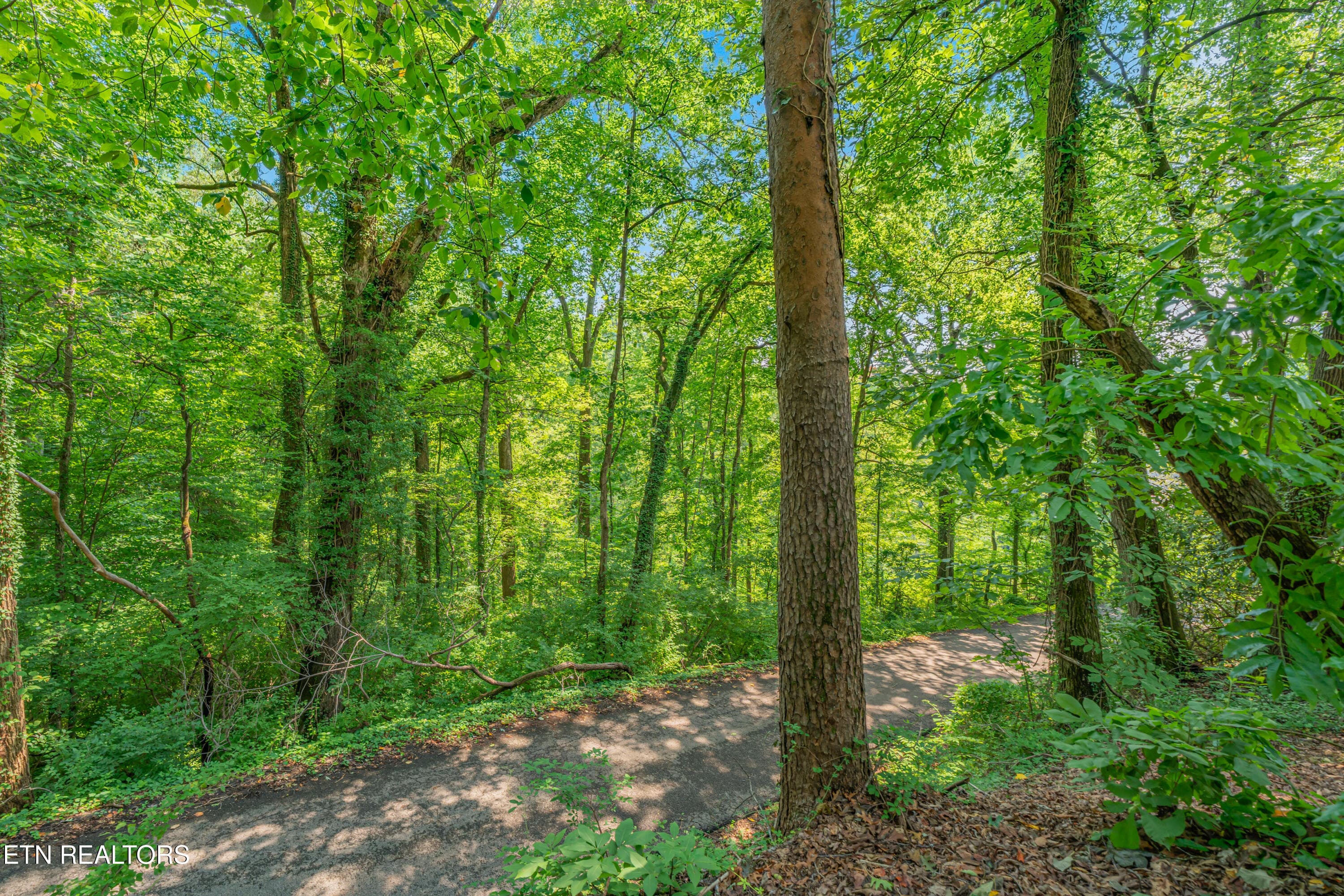 55-print-4617 Wye Way -55 - 4617 Wye Way Lane, Knoxville, TN 37920
