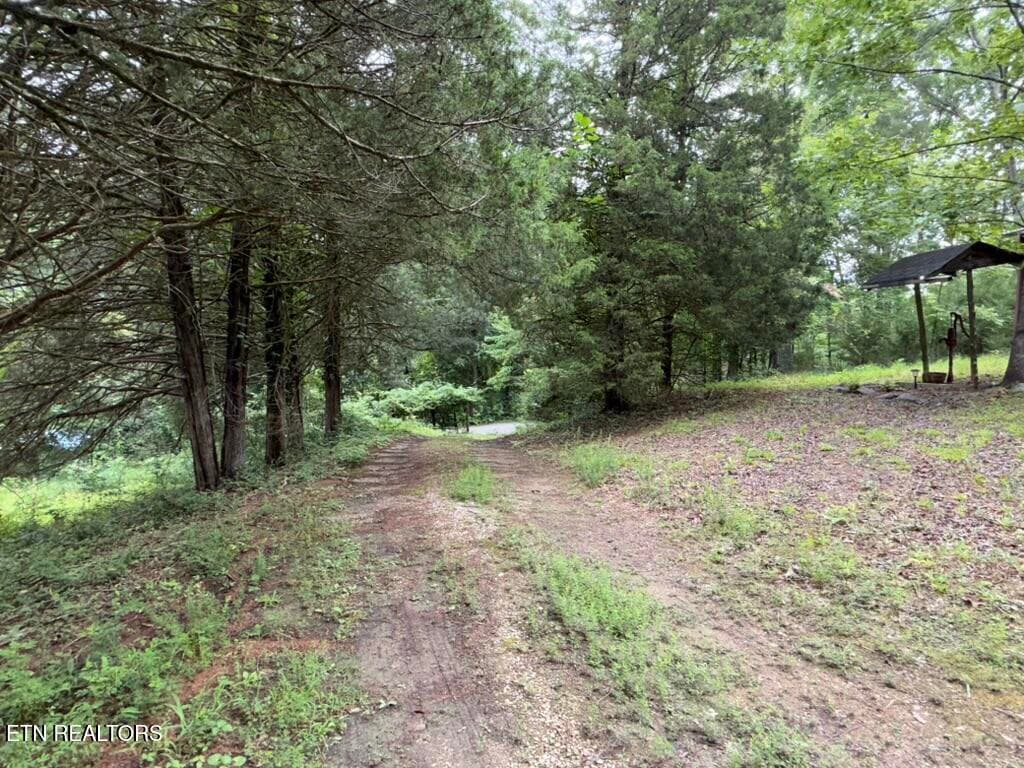 FF50F804-03F5-4097-B8BD-A9AA3AB6503D_1_1 - 131 Williams Circle, Rockwood, TN 37854, Rockwood