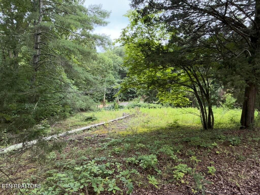 9DE2EDF2-69CF-452F-9895-673B477BD1CD_1_1 - 131 Williams Circle, Rockwood, TN 37854, Rockwood