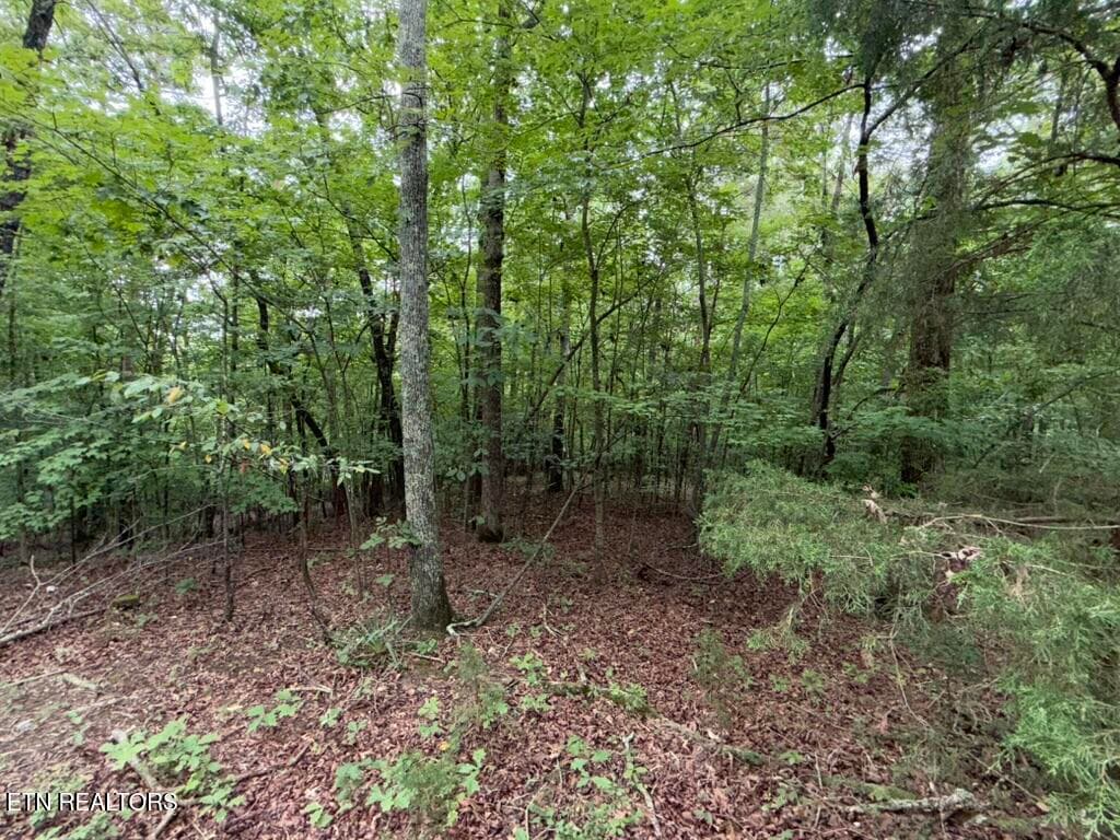 9916AC79-9FF1-4F27-86A4-AE00B7132AE5_1_1 - 131 Williams Circle, Rockwood, TN 37854, Rockwood