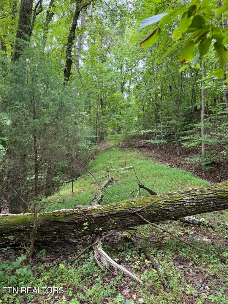 79867C73-348B-4616-A975-3182BFCA2FCE_1_1 - 131 Williams Circle, Rockwood, TN 37854, Rockwood