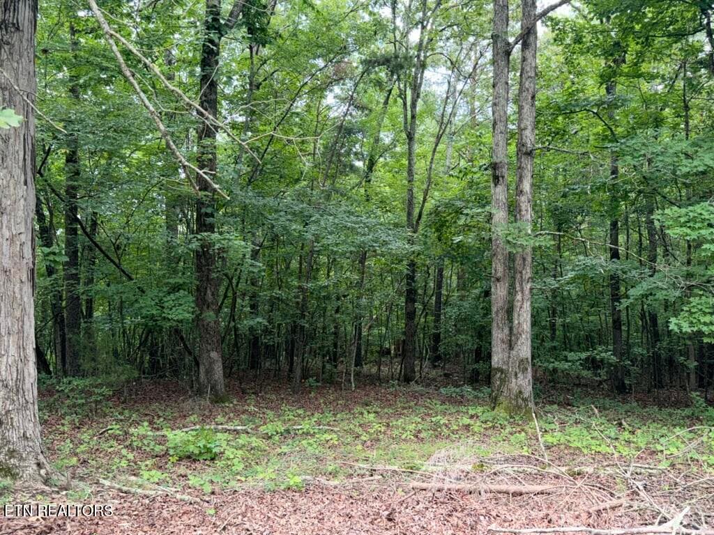 7EB335D3-5D2A-425D-8AA4-03C979C5F0DD_1_1 - 131 Williams Circle, Rockwood, TN 37854, Rockwood