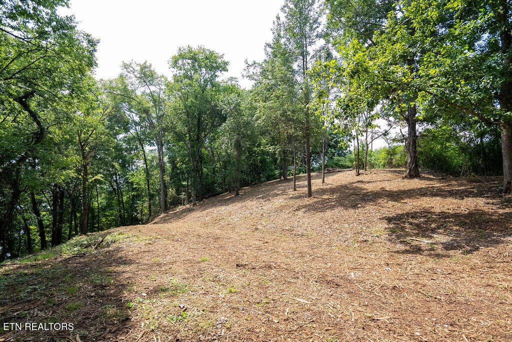 DSC03980 - Lot 5 & 6 Valley Drive, Loudon, TN 37774