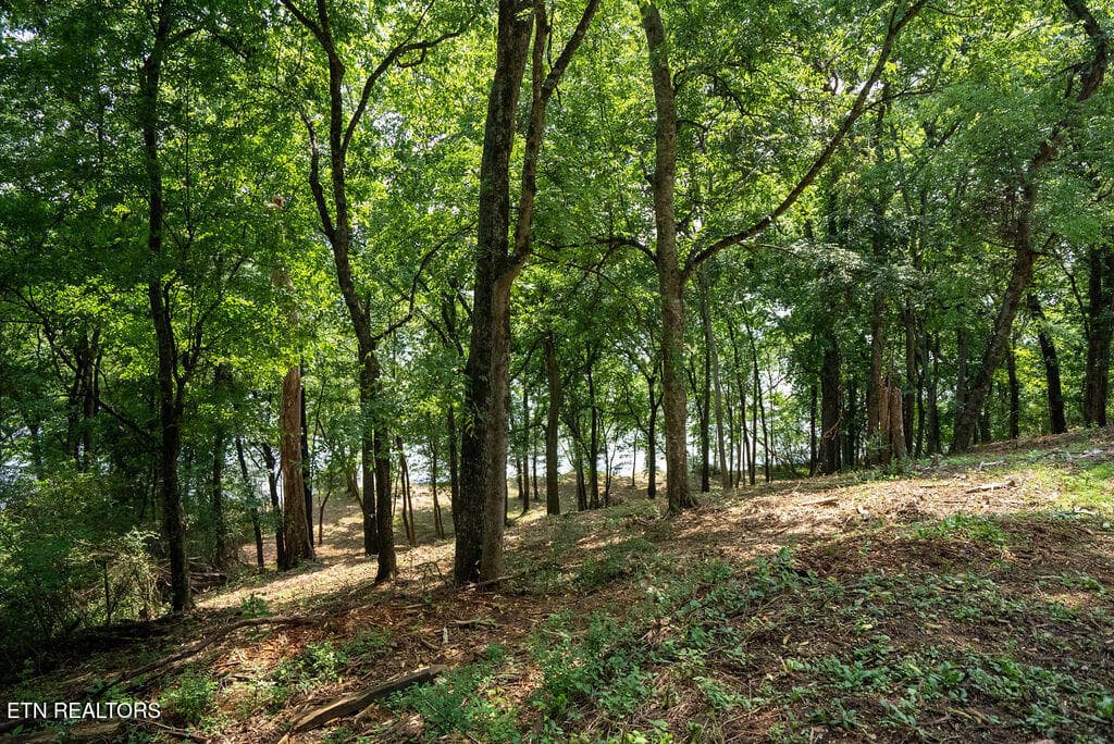 DSC03984 - Lot 5 & 6 Valley Drive, Loudon, TN 37774