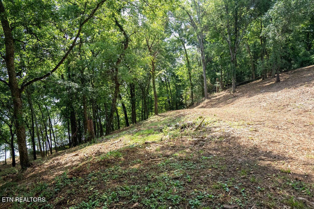 DSC03986 - Lot 5 & 6 Valley Drive, Loudon, TN 37774
