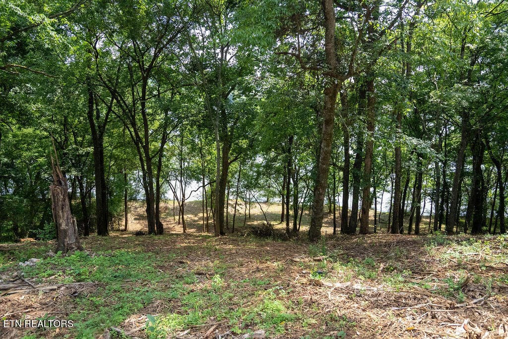 DSC03991 - Lot 5 & 6 Valley Drive, Loudon, TN 37774