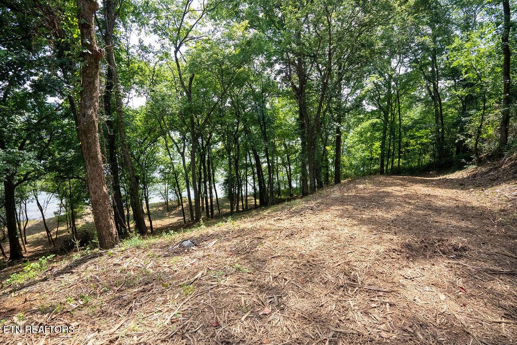 DSC03992 - Lot 5 & 6 Valley Drive, Loudon, TN 37774