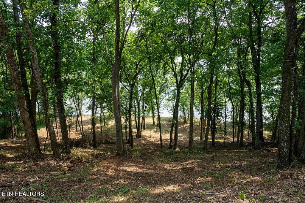 DSC03996 - Lot 5 & 6 Valley Drive, Loudon, TN 37774