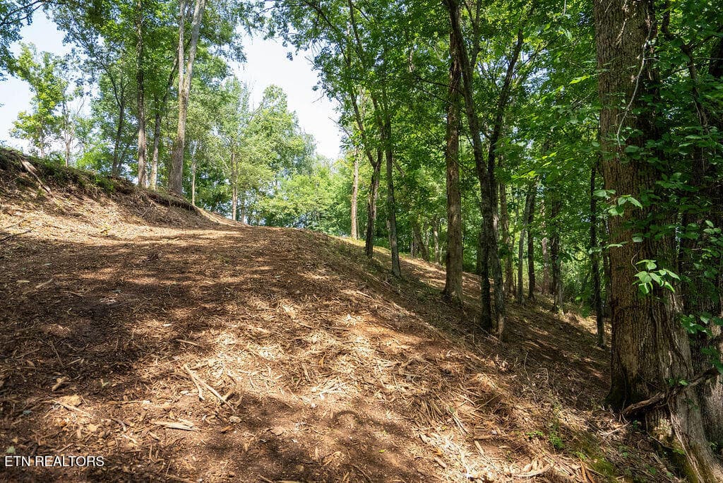 DSC04000 - Lot 5 & 6 Valley Drive, Loudon, TN 37774