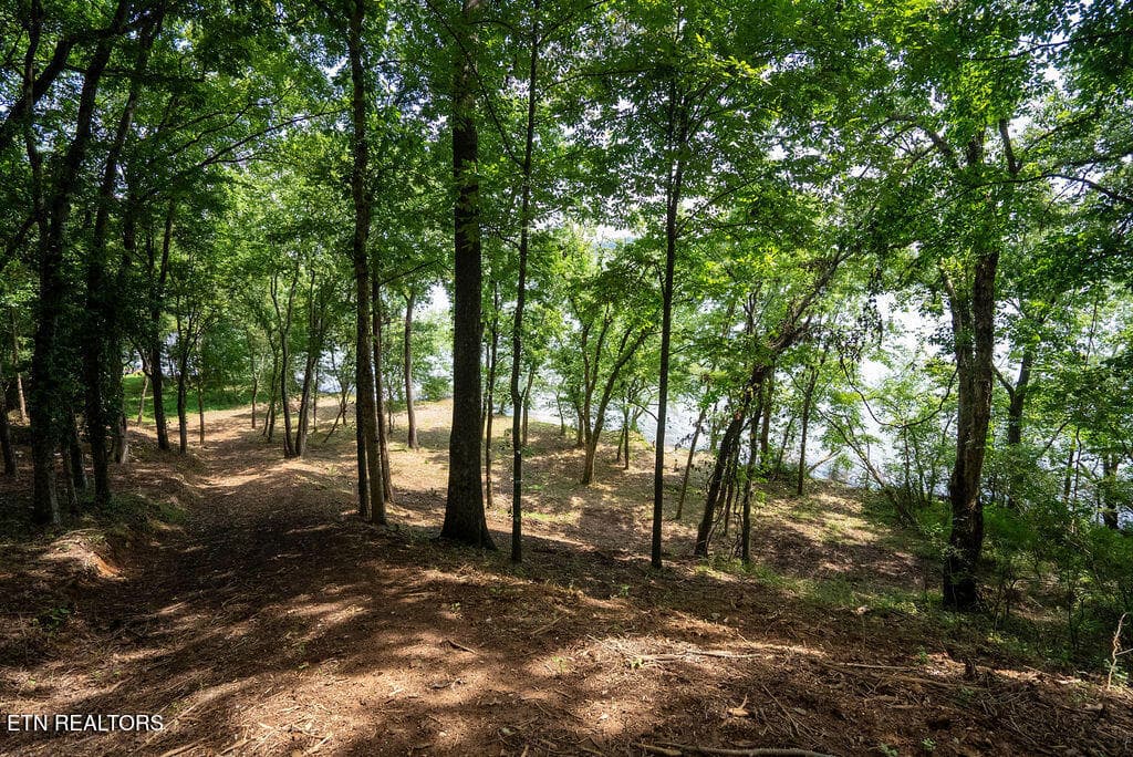DSC04004 - Lot 5 & 6 Valley Drive, Loudon, TN 37774
