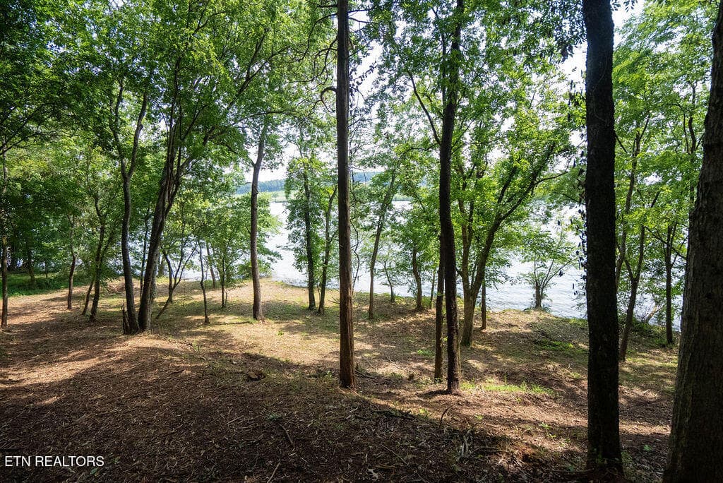 DSC04011 - Lot 5 & 6 Valley Drive, Loudon, TN 37774