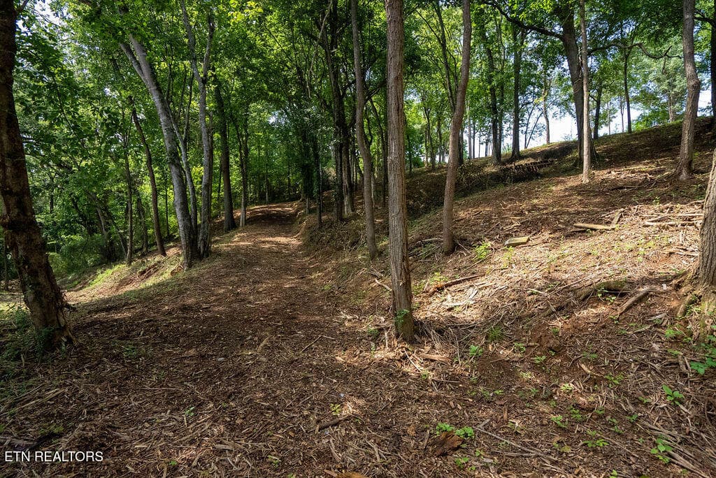 DSC04014 - Lot 5 & 6 Valley Drive, Loudon, TN 37774