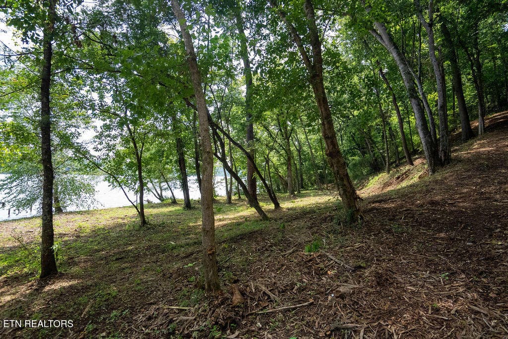 DSC04019 - Lot 5 & 6 Valley Drive, Loudon, TN 37774
