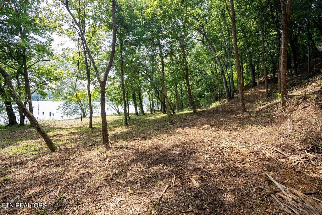 DSC04024 - Lot 5 & 6 Valley Drive, Loudon, TN 37774