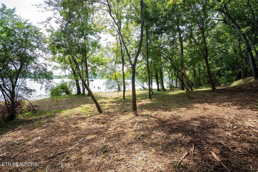 DSC04028 - Lot 5 & 6 Valley Drive, Loudon, TN 37774