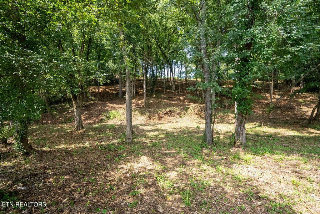DSC04055 - Lot 5 & 6 Valley Drive, Loudon, TN 37774