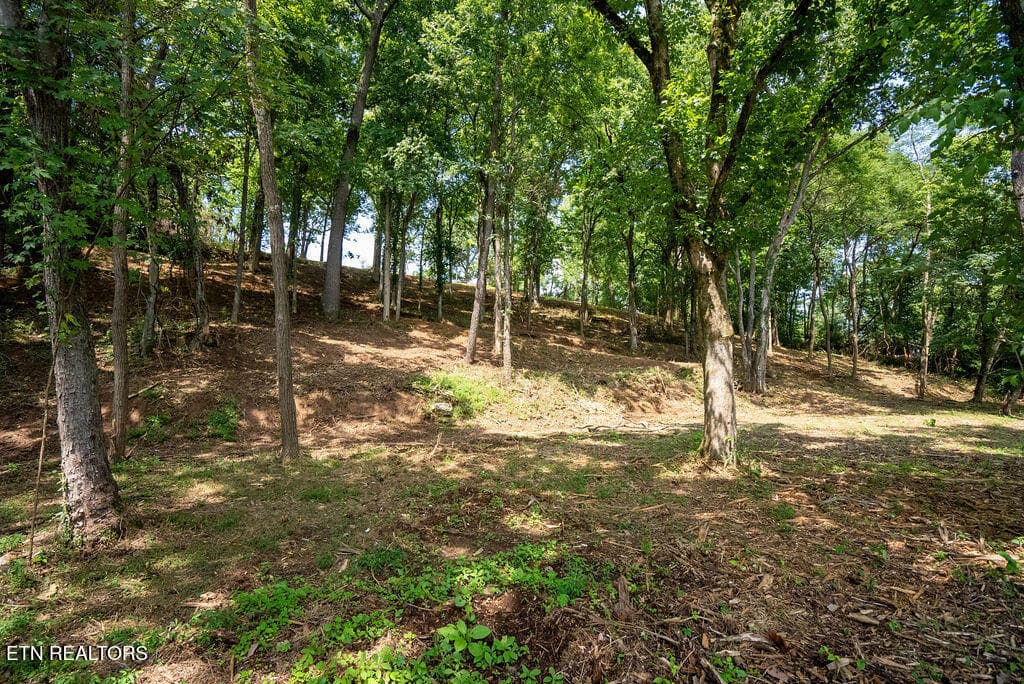 DSC04060 - Lot 5 & 6 Valley Drive, Loudon, TN 37774