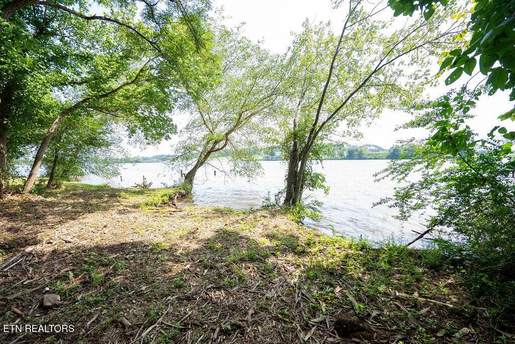 DSC04064 - Lot 5 & 6 Valley Drive, Loudon, TN 37774