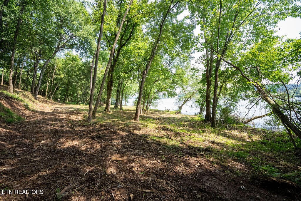 DSC04071 - Lot 5 & 6 Valley Drive, Loudon, TN 37774