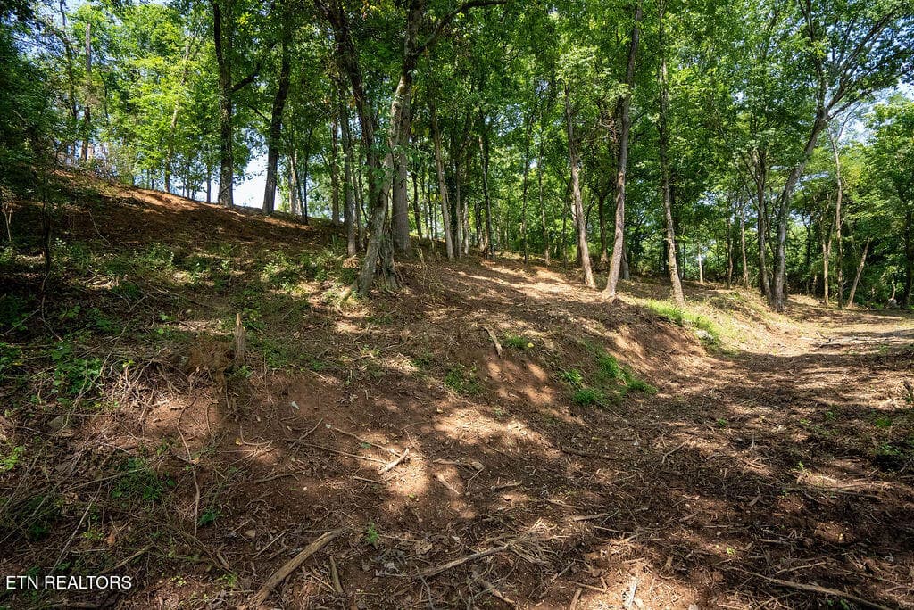 DSC04079 - Lot 5 & 6 Valley Drive, Loudon, TN 37774
