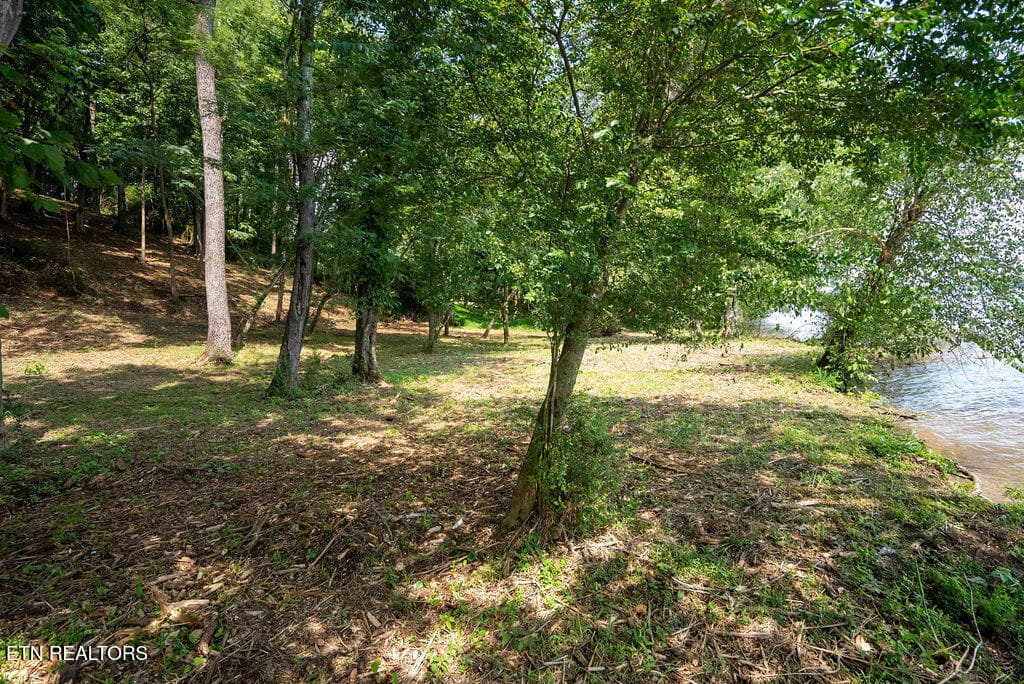DSC04138 - Lot 5 & 6 Valley Drive, Loudon, TN 37774