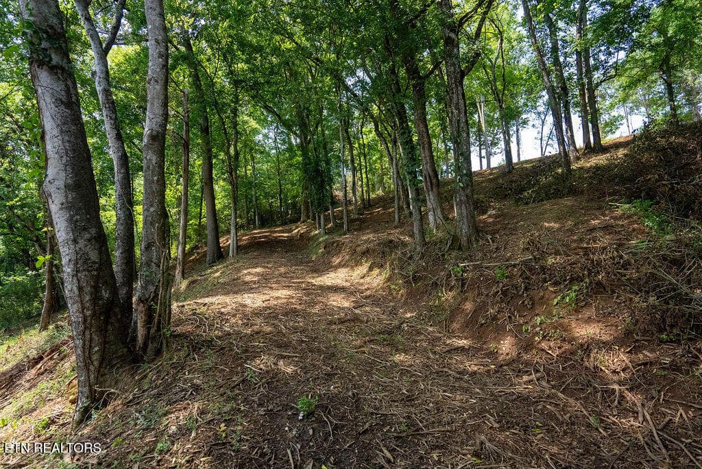 DSC04140 - Lot 5 & 6 Valley Drive, Loudon, TN 37774