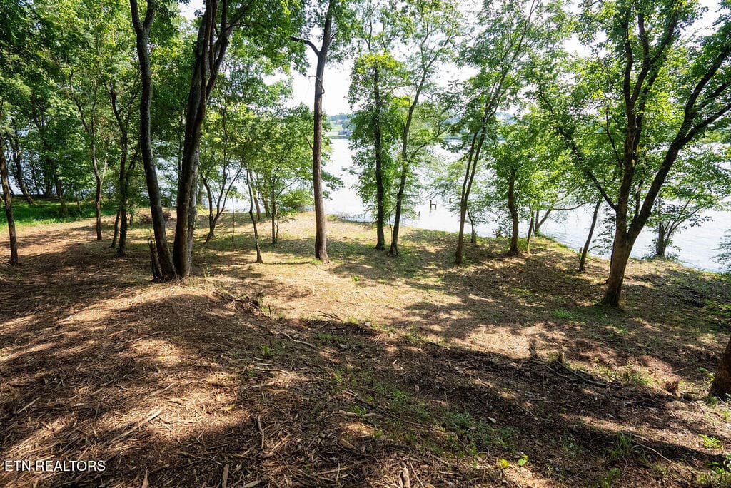 DSC04141 - Lot 5 & 6 Valley Drive, Loudon, TN 37774