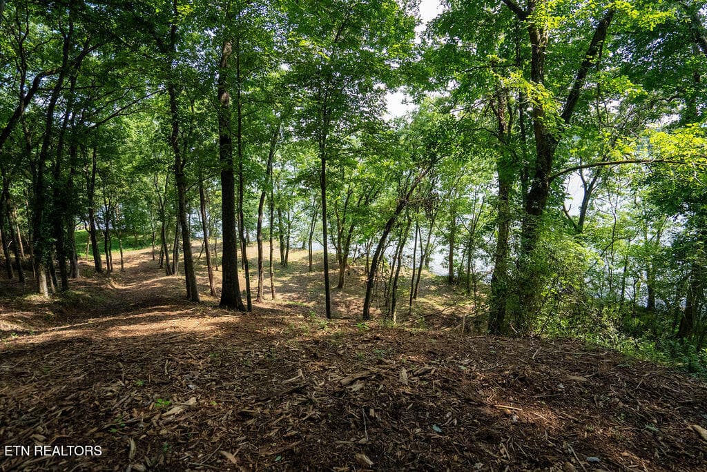 DSC04152 - Lot 5 & 6 Valley Drive, Loudon, TN 37774