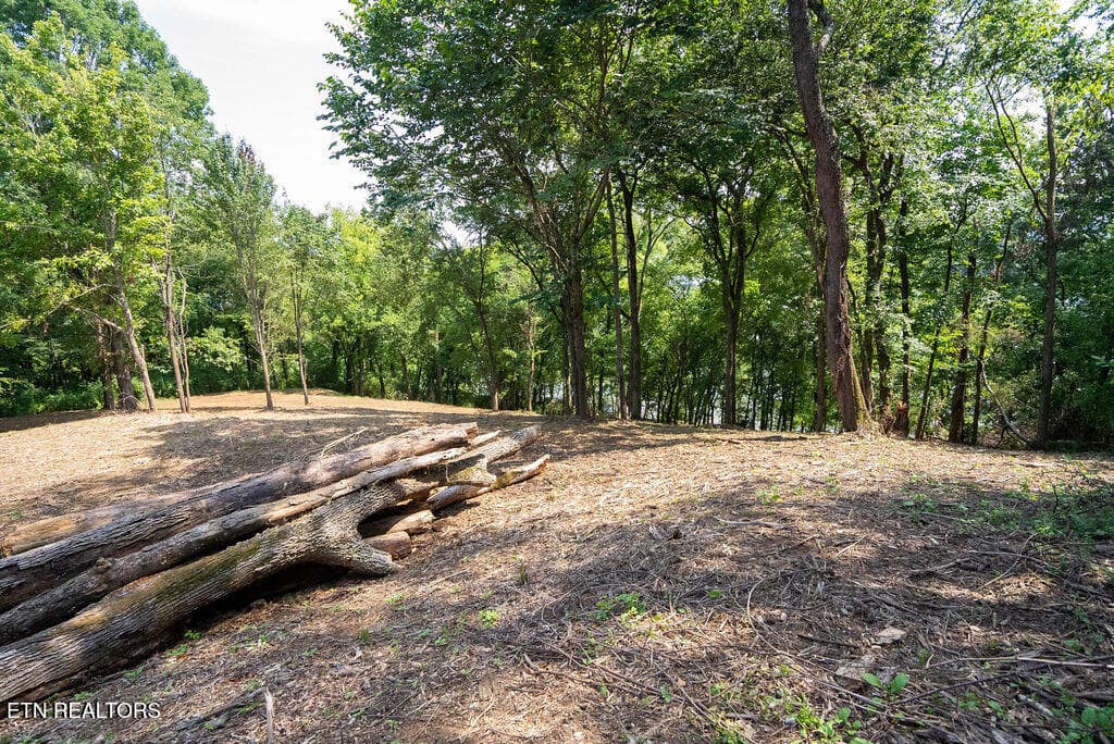 DSC04157 - Lot 5 & 6 Valley Drive, Loudon, TN 37774