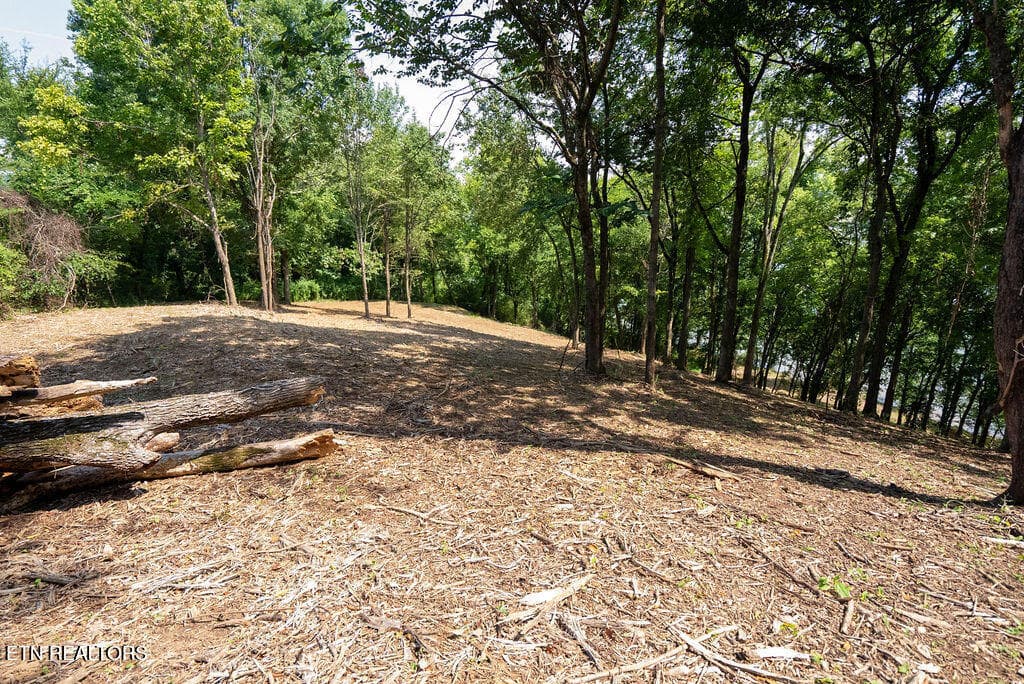 DSC04159 - Lot 5 & 6 Valley Drive, Loudon, TN 37774