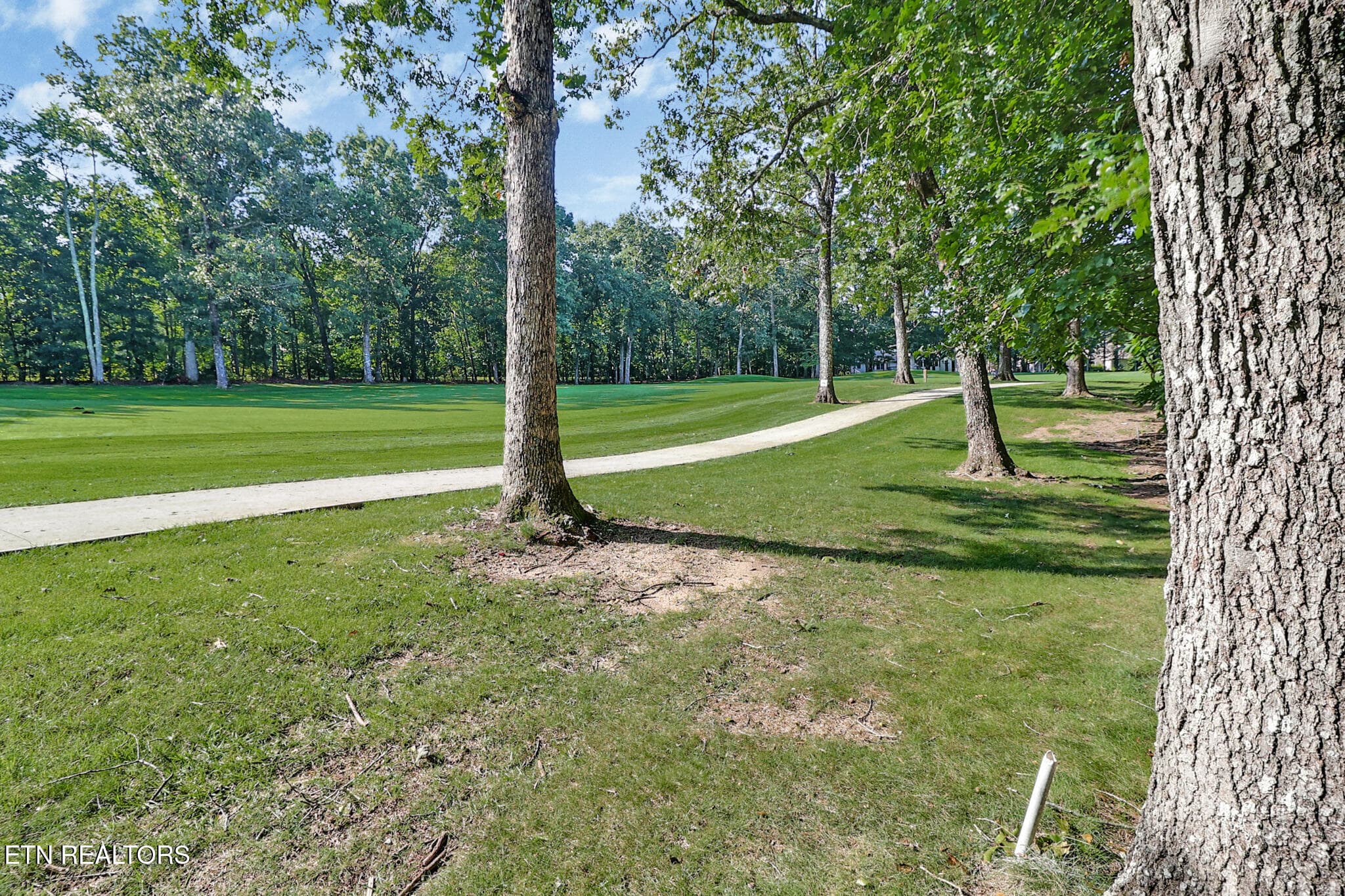 View down the Fairway - 25 Amesbury Court, Crossville, TN 38558, Crossville