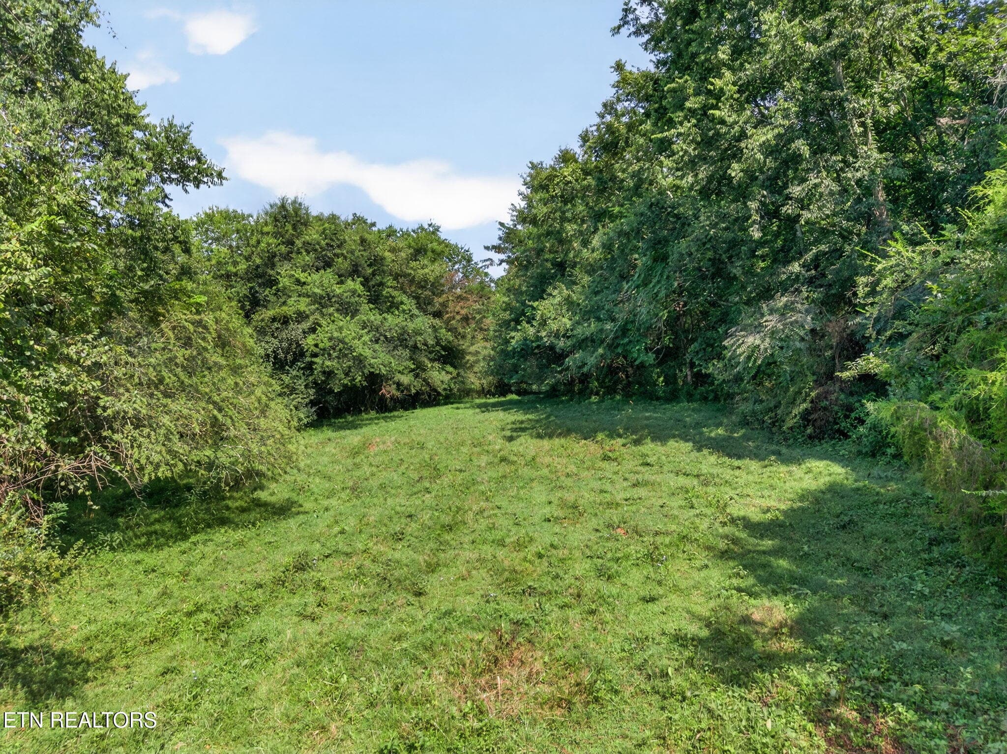 18-web-or-mls-5210 Lowes Gap Rd_091_TNPC - 5210 Lowes Gap Rd, Pikeville, TN 37367