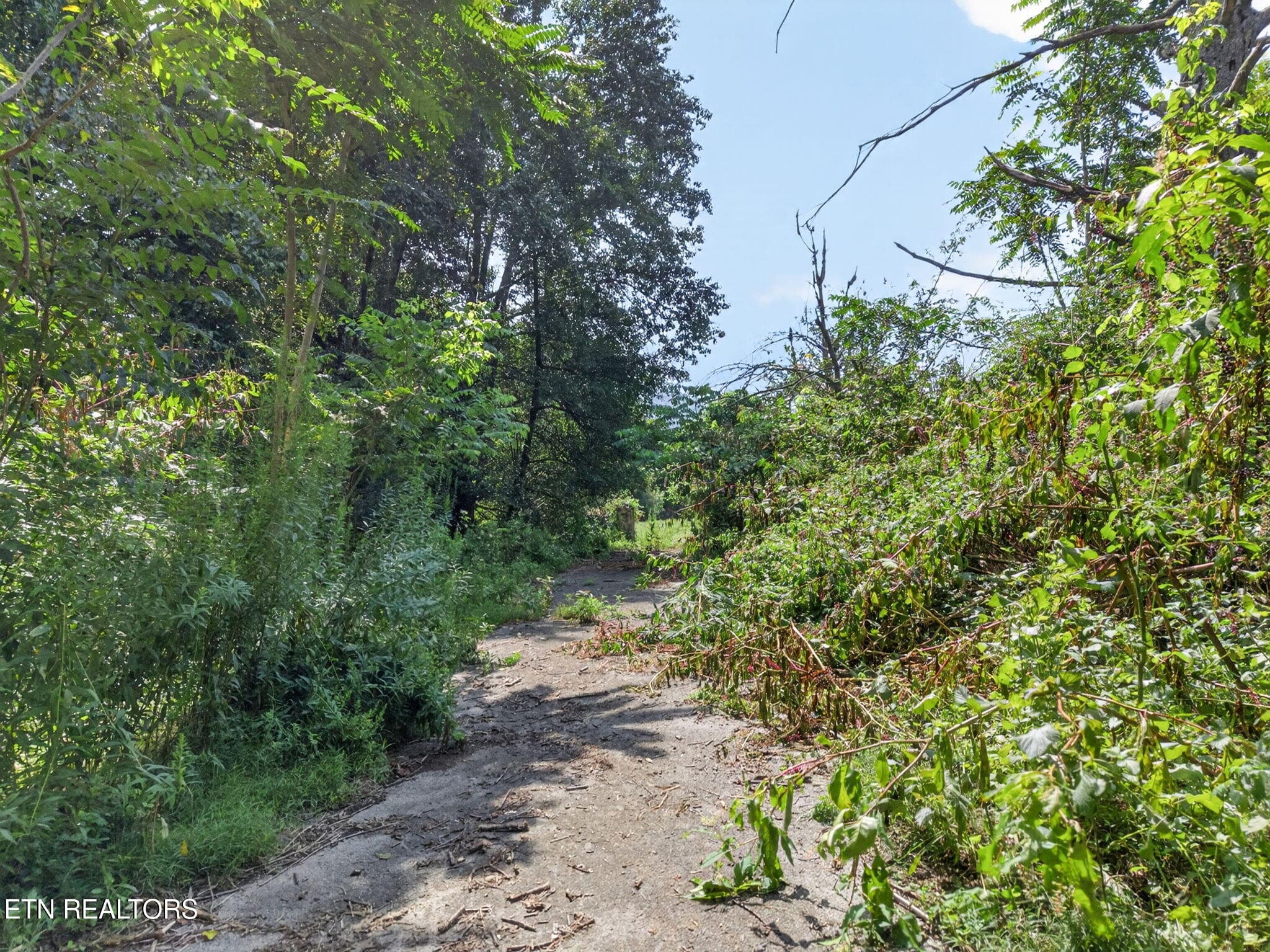 37-web-or-mls-5210 Lowes Gap Rd_186_TNPC - 5210 Lowes Gap Rd, Pikeville, TN 37367
