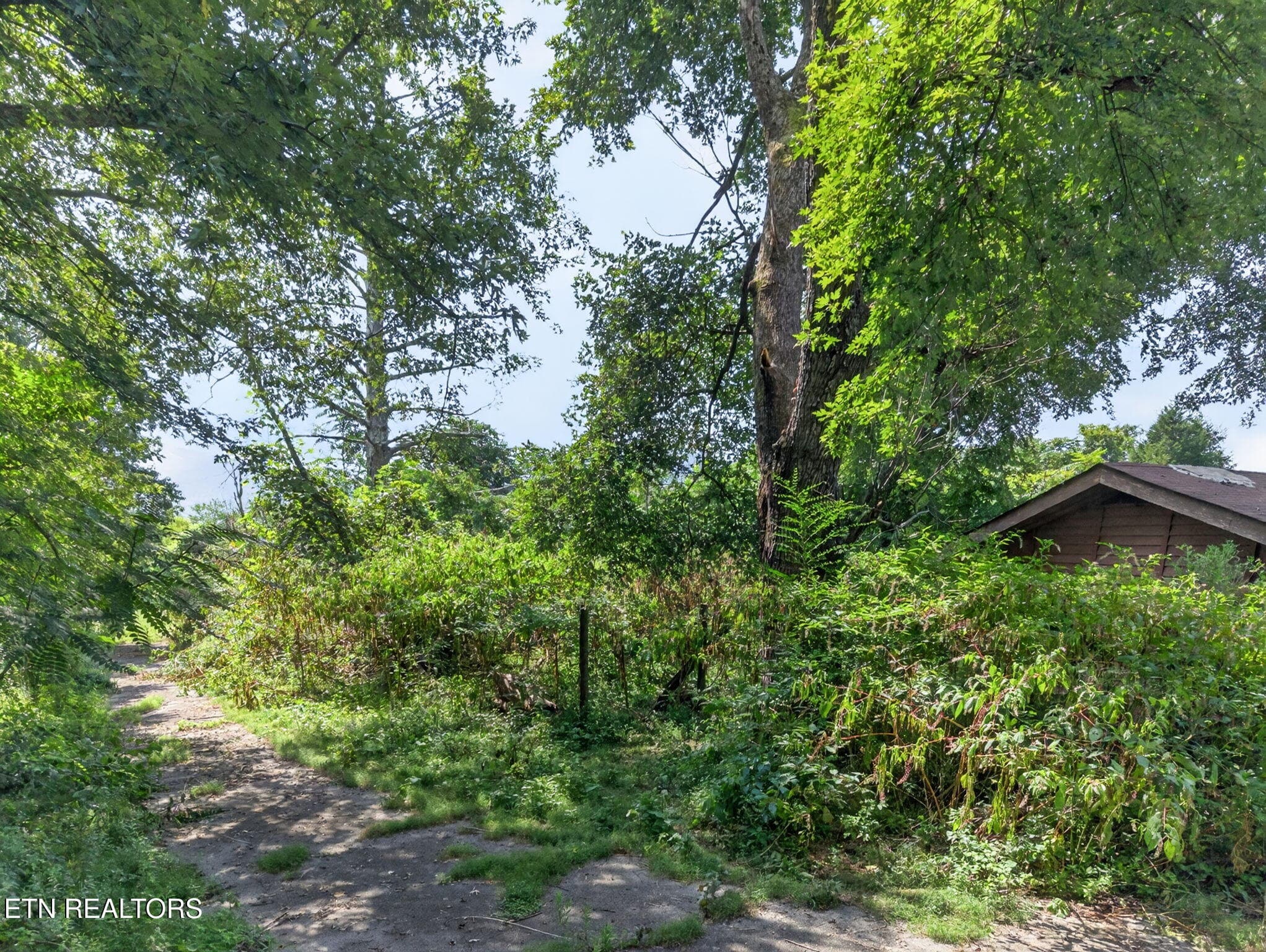 36-web-or-mls-5210 Lowes Gap Rd_181_TNPC - 5210 Lowes Gap Rd, Pikeville, TN 37367
