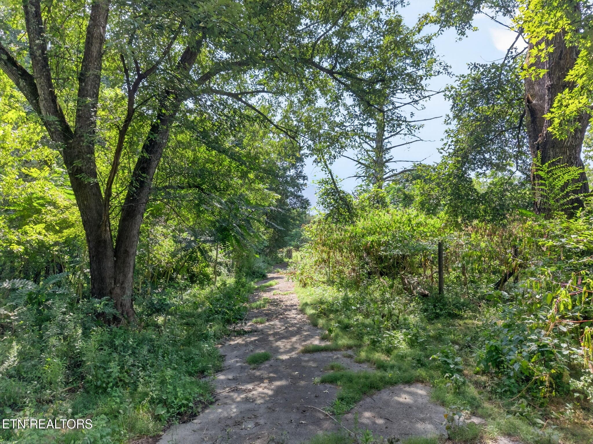 34-web-or-mls-5210 Lowes Gap Rd_171_TNPC - 5210 Lowes Gap Rd, Pikeville, TN 37367