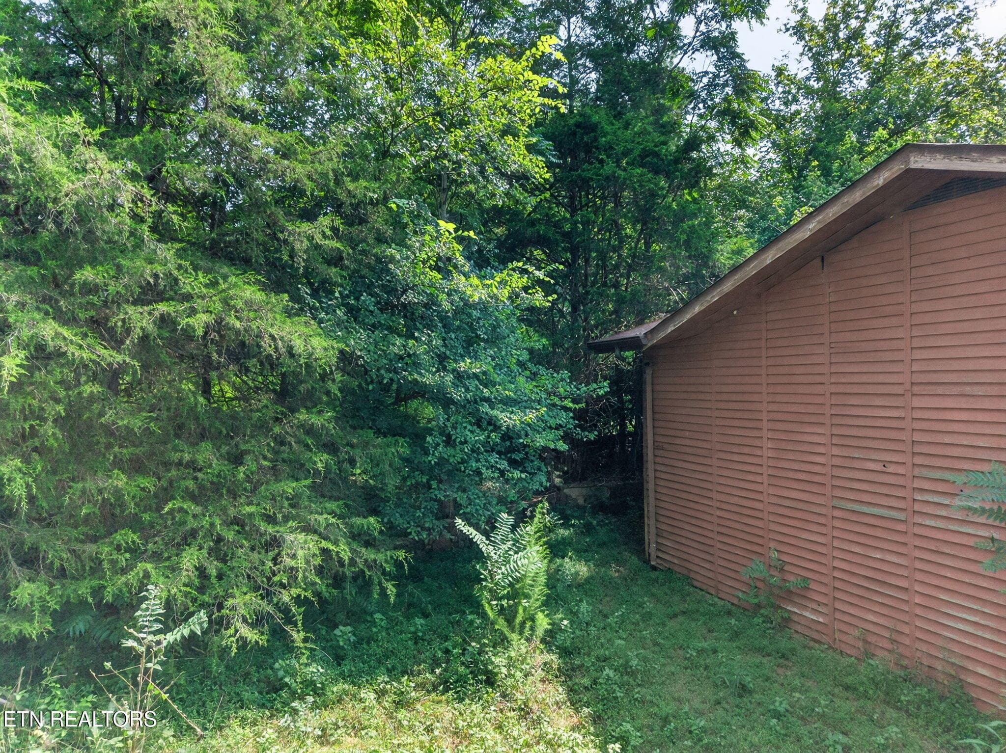 32-web-or-mls-5210 Lowes Gap Rd_161_TNPC - 5210 Lowes Gap Rd, Pikeville, TN 37367