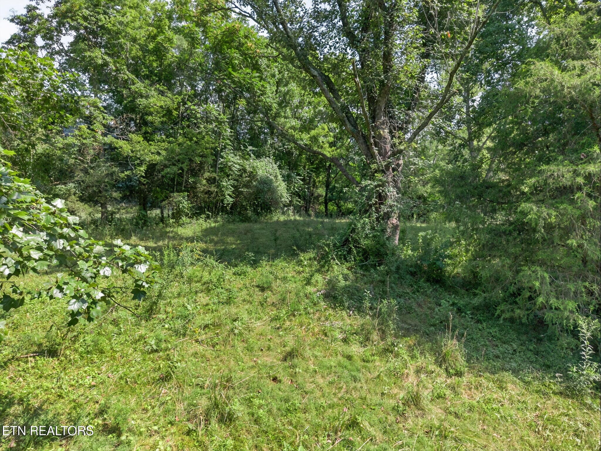30-web-or-mls-5210 Lowes Gap Rd_152_TNPC - 5210 Lowes Gap Rd, Pikeville, TN 37367