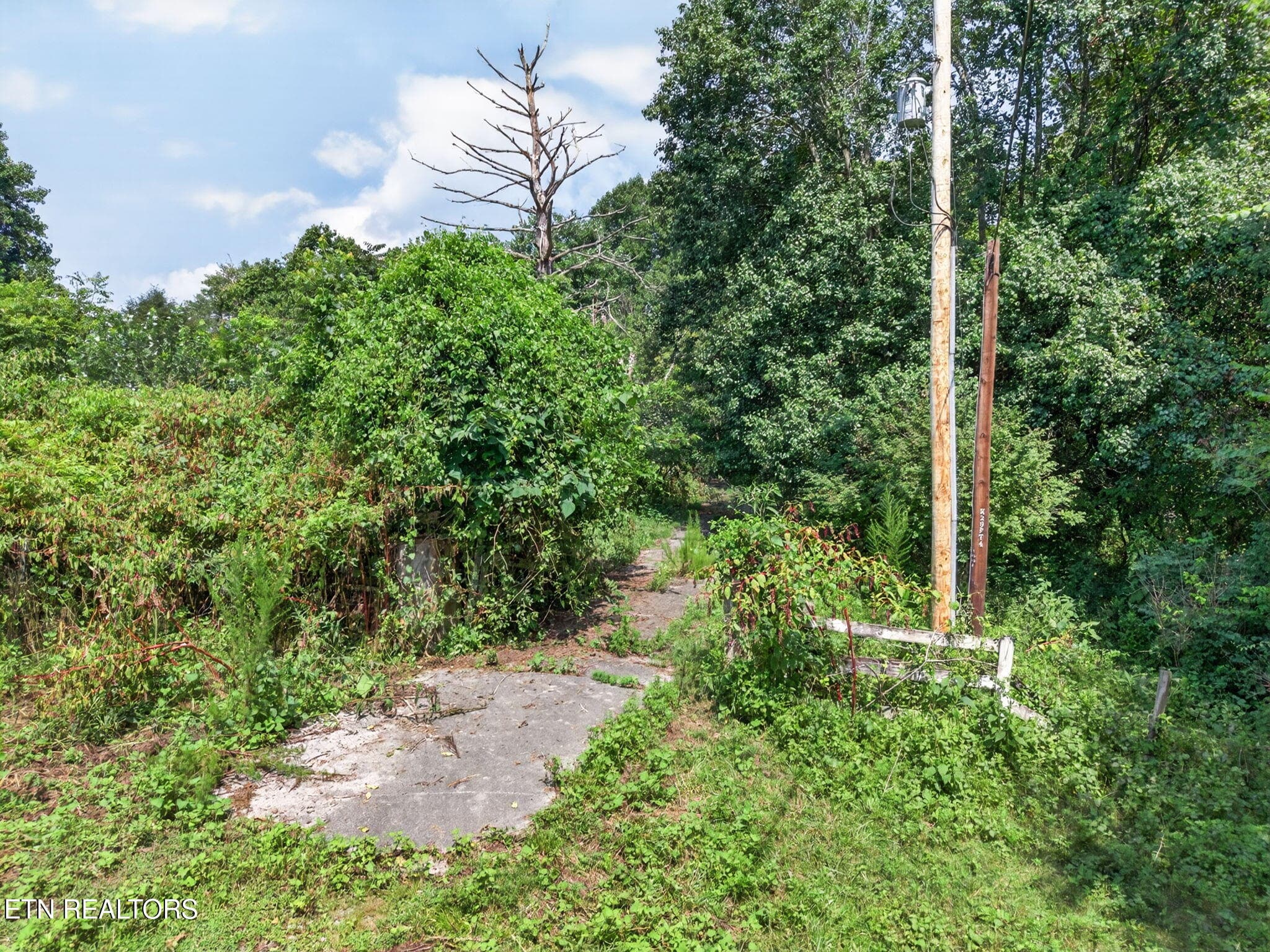 25-web-or-mls-5210 Lowes Gap Rd_126_TNPC - 5210 Lowes Gap Rd, Pikeville, TN 37367
