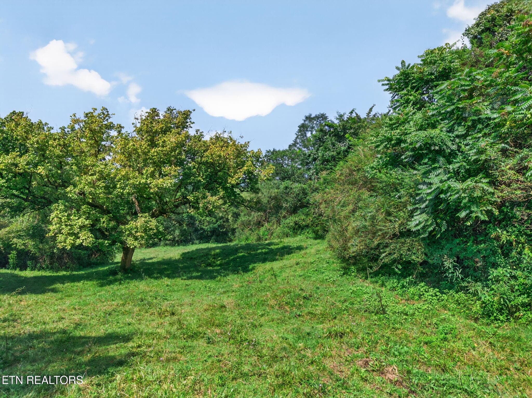 24-web-or-mls-5210 Lowes Gap Rd_121_TNPC - 5210 Lowes Gap Rd, Pikeville, TN 37367