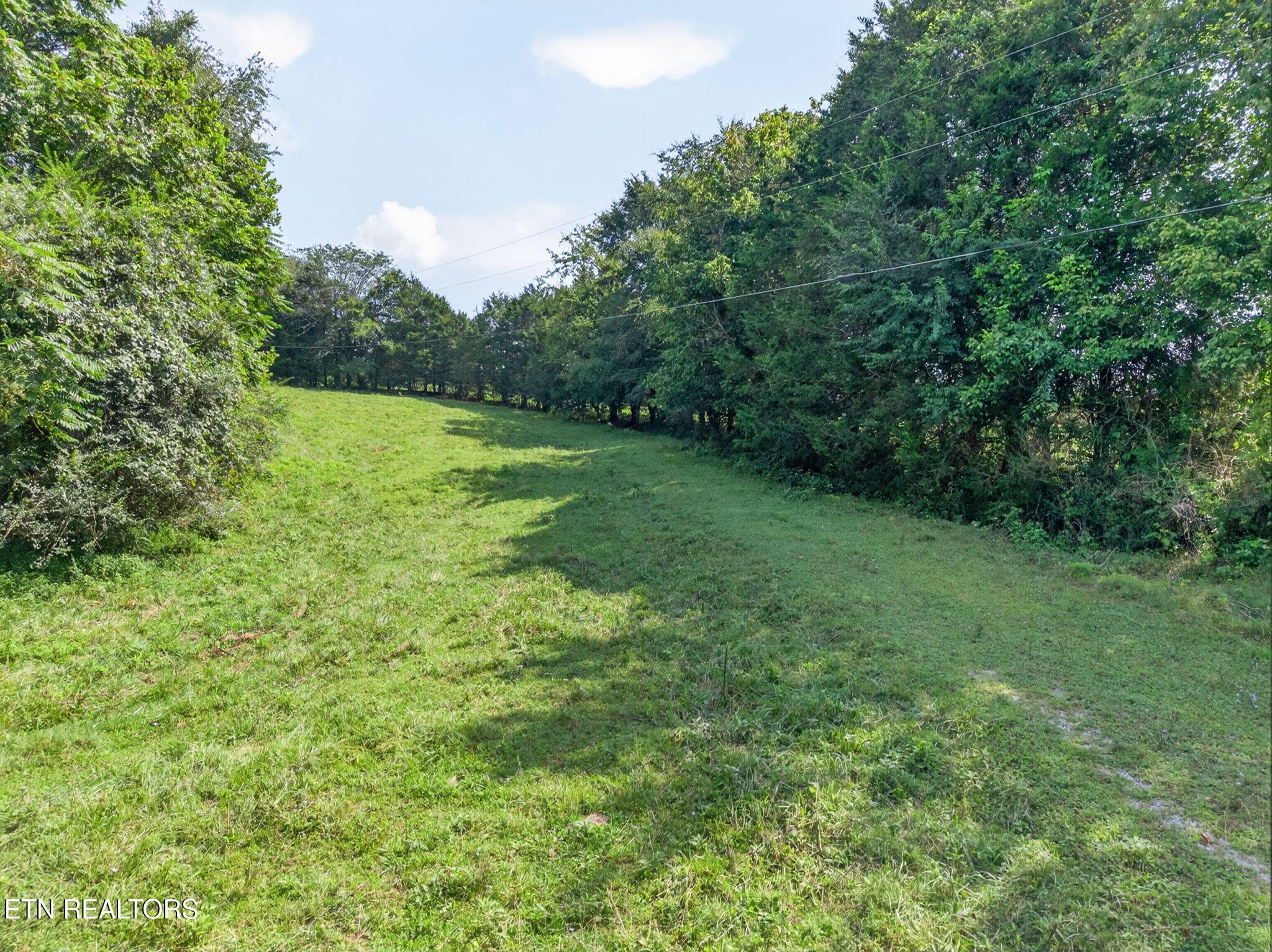 23-web-or-mls-5210 Lowes Gap Rd_117_TNPC - 5210 Lowes Gap Rd, Pikeville, TN 37367