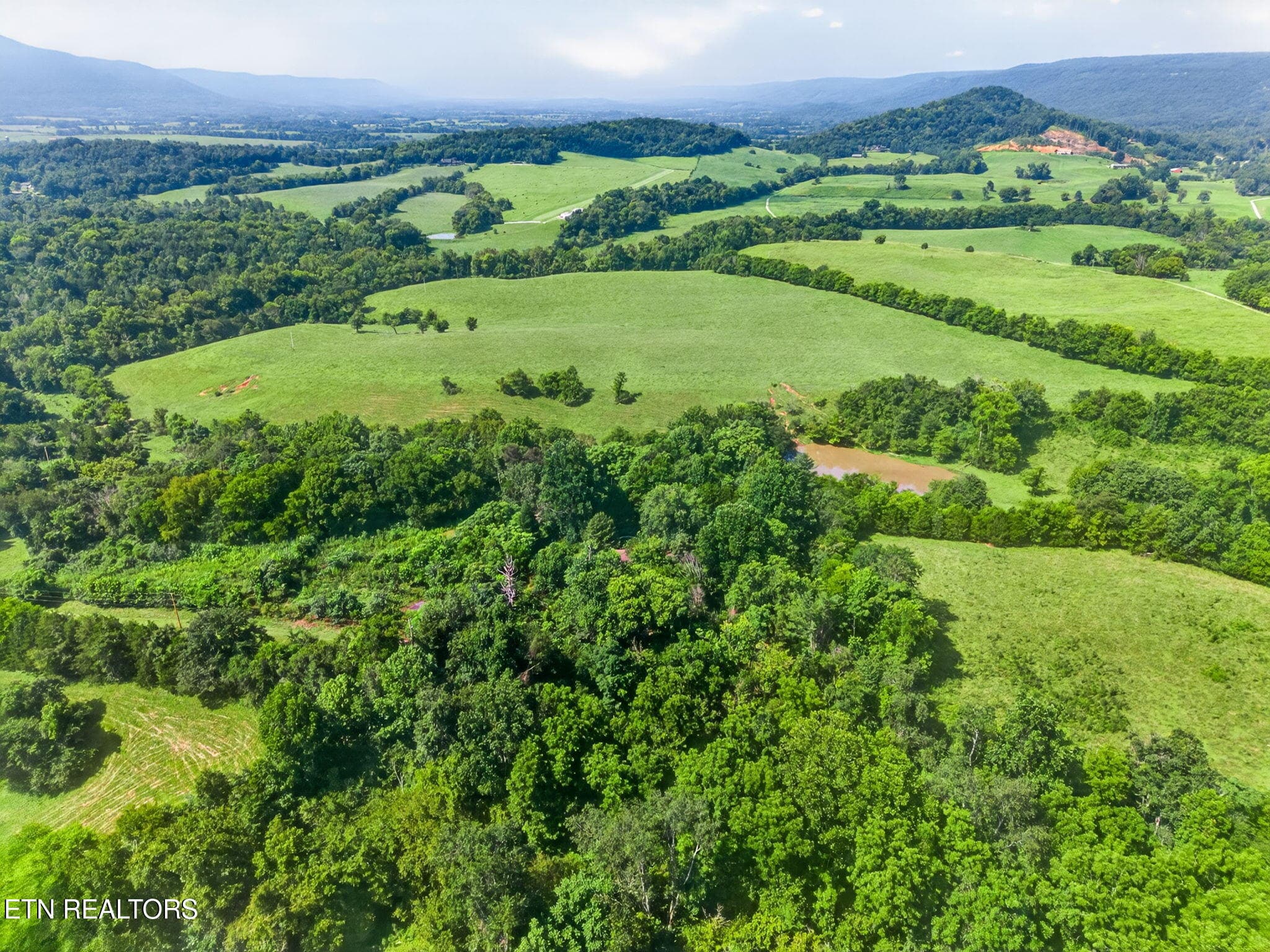 8-web-or-mls-5210 Lowes Gap Rd_036_TNPC - 5210 Lowes Gap Rd, Pikeville, TN 37367