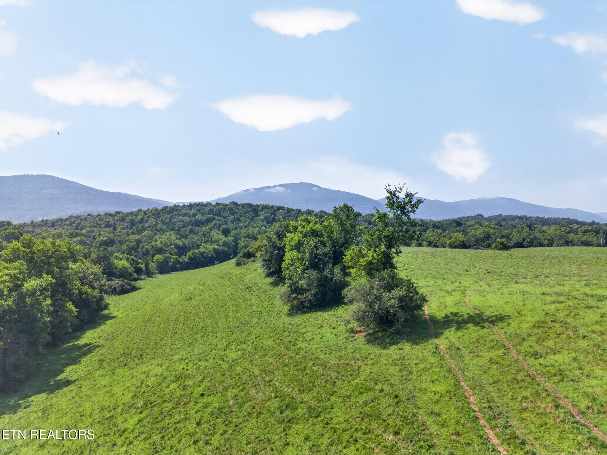 12-web-or-mls-5210 Lowes Gap Rd_056_TNPC - 5210 Lowes Gap Rd, Pikeville, TN 37367